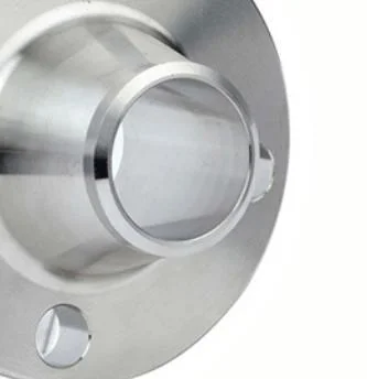 Factory Customized Forged Stainless Steel Weld Neck Flange