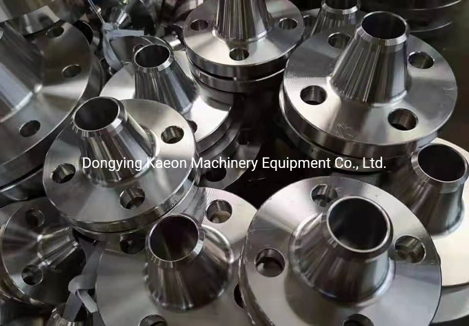 Stainless Steel Flange Socket Welded Flange Slip on Weld Neck Ss Steel Blind Flange