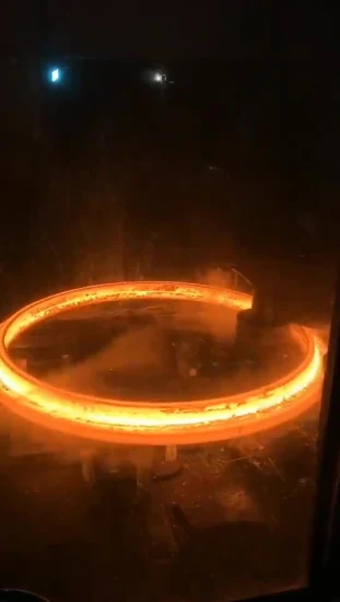 Flangia per saldatura di prese in acciaio inossidabile al carbonio per tubi industriali fornita dalla fabbrica